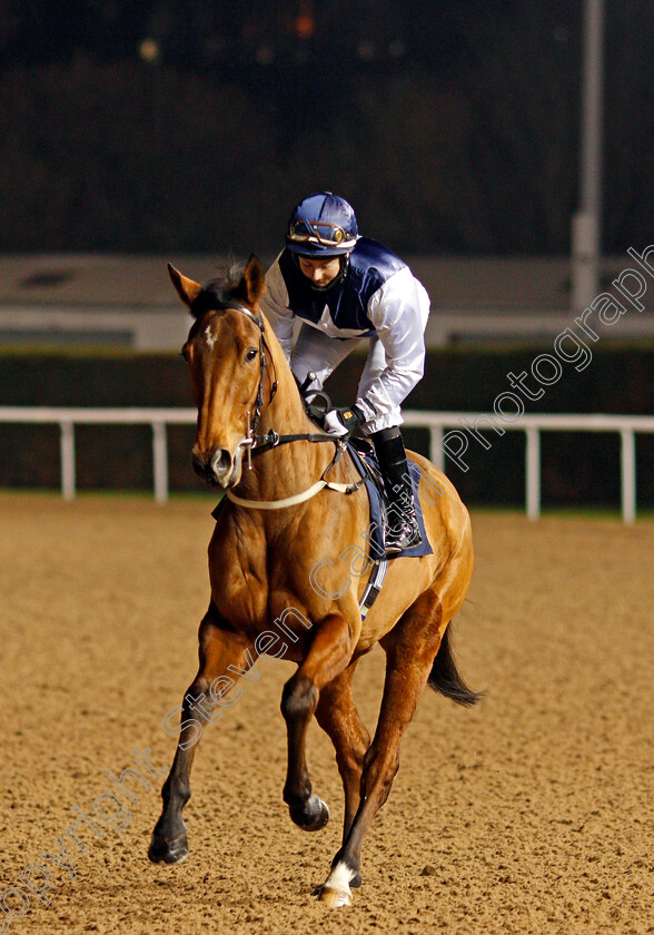 Siavash-0001 
 SIAVASH (Gina Mangan)
Wolverhampton 5 Dec 2020 - Pic Steven Cargill / Racingfotos.com