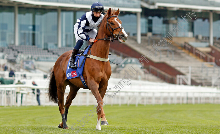 Glasses-Up-0001 
 GLASSES UP (Paddy Mathers)
York 12 May 2021 - Pic Steven Cargill / Racingfotos.com