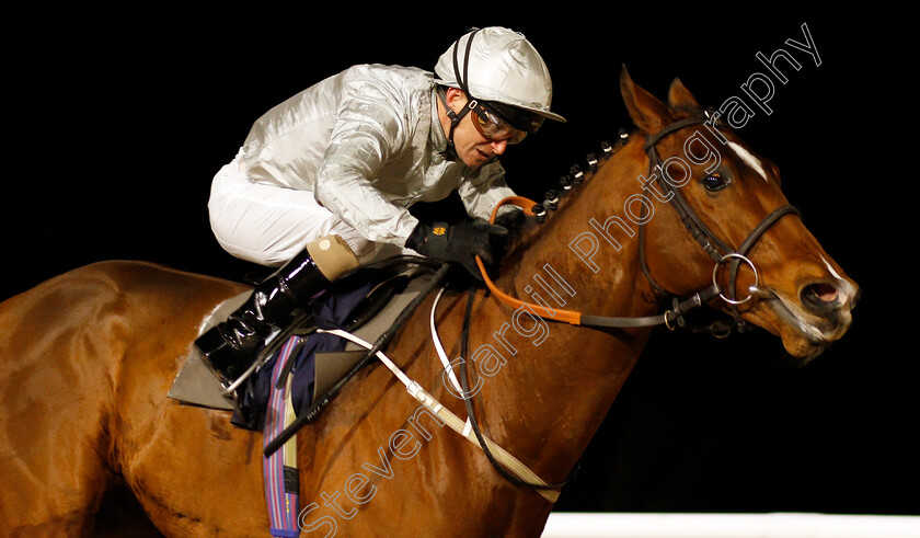 Lion-Tower-0002 
 LION TOWER (Joe Fanning) wins The Betway Novice Stakes
Southwell 15 Jan 2020 - Pic Steven Cargill / Racingfotos.com