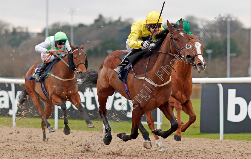 Summer-Icon-0005 
 SUMMER ICON (Charles Bishop) wins The 32Red.com Fillies Conditions Stakes Wolverhampton 4 Jan 2017 - Pic Steven Cargill / Racingfotos.com