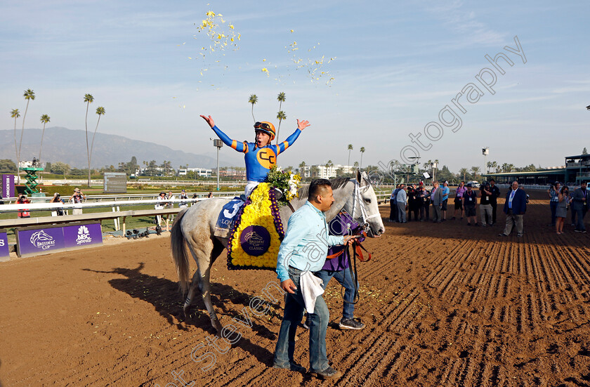 White-Abarrio-0013 
 WHITE ABARRIO (Irad Ortiz) winner of The Breeders' Cup Classic
Santa Anita 4 Nov 2023 - pic Steven Cargill / Racingfotos.com