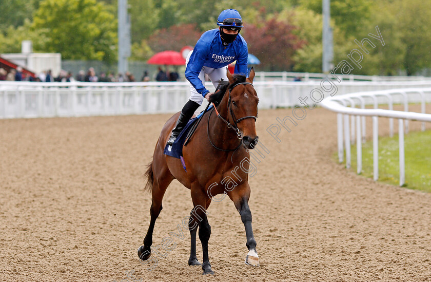 Royal-Partnership-0001 
 ROYAL PARTNERSHIP (Eoin Walsh)
Wolverhampton 24 May 2021 - Pic Steven Cargill / Racingfotos.com