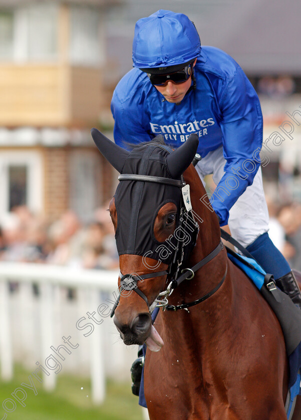 Noble-Truth-0002 
 NOBLE TRUTH (William Buick)
York 18 Aug 2021 - Pic Steven Cargill / Racingfotos.com