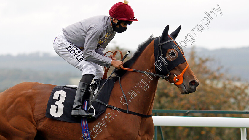 Al-Dawodiya-0001 
 AL DAWODIYA (Sean Levey)
Goodwood 23 Sep 2020 - Pic Steven Cargill / Racingfotos.com