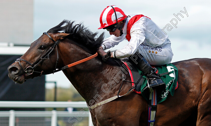 Invincible-Army-0004 
 INVINCIBLE ARMY (Ryan Moore) wins The Merriebelle Stable Pavilion Stakes Ascot 2 May 2018 - Pic Steven Cargill / Racingfotos.com