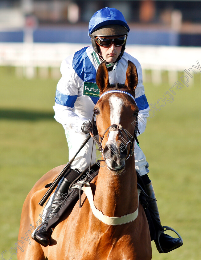 Bright-Forecast-0002 
 BRIGHT FORECAST (Nico De Boinville) winner of The Ladbrokes National Hunt Maiden Hurdle
Newbury 30 Nov 2018 - Pic Steven Cargill / Racingfotos.com