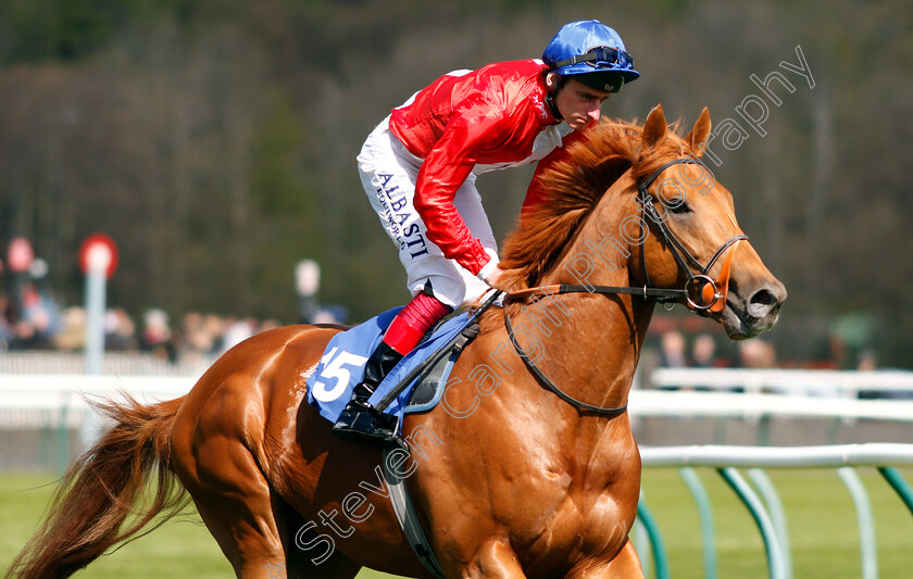 Vasiliev-0002 
 VASILIEV (Adam Kirby)
Nottingham 10 Apr 2019 - Pic Steven Cargill / Racingfotos.com