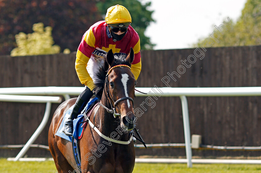 The-Thunderer-0001 
 THE THUNDERER (James Doyle)
Leicester 1 Jun 2021 - Pic Steven Cargill / Racingfotos.com