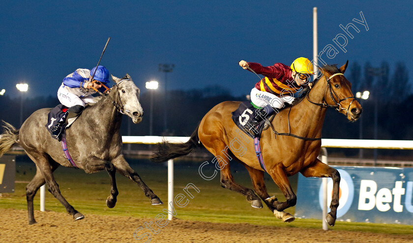 Rocking-Tree-0002 
 ROCKING TREE (Billy Loughnane) beats ARCTIC DAWN (left) in The Boost Your Acca At Betmgm Novice Stakes
Wolverhampton 9 Mar 2024 - Pic Steven Cargill / Racingfotos.com