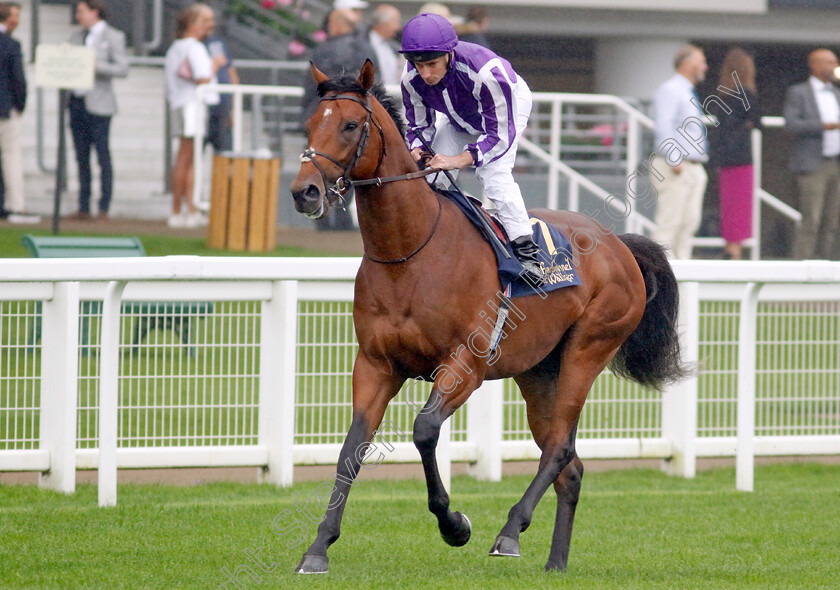 Isambard-Brunel-0001 
 ISAMBARD BRUNEL (Ryan Moore) 
Ascot 6 Sep 2024 - Pic Steven Cargill / Racingfotos.com