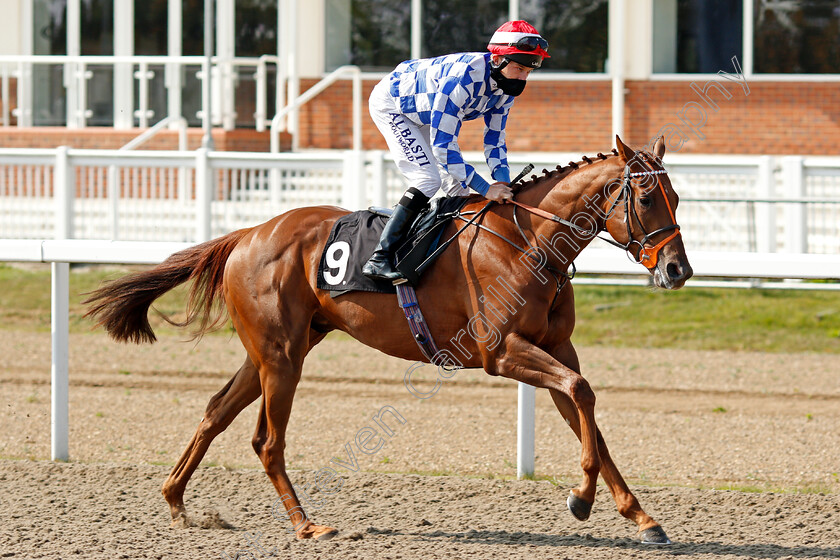 The-Tide-Turns-0001 
 THE TIDE TURNS (Luke Morris)
Chelmsford 20 Sep 2020 - Pic Steven Cargill / Racingfotos.com