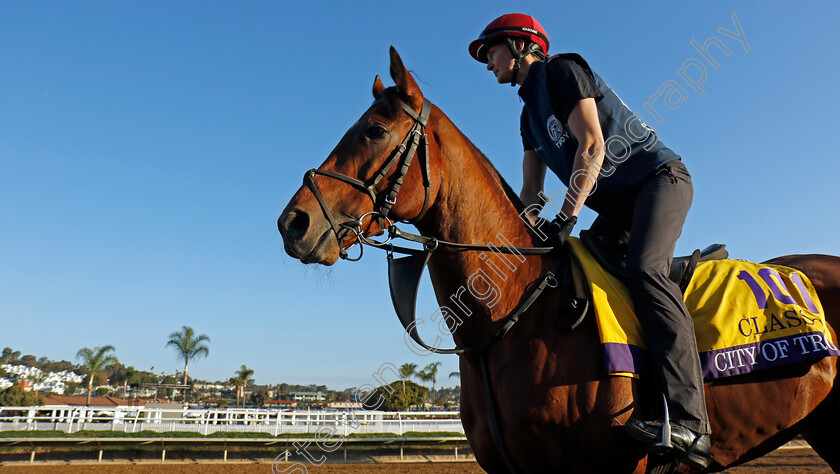 City-Of-Troy-0012 
 CITY OF TROY (Rachel Richardson) training for the Breeders' Cup Classic
Del Mar USA 31 Oct 2024 - Pic Steven Cargill / Racingfotos.com