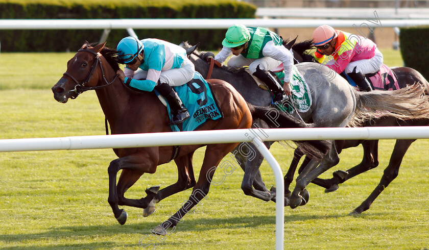 La-Signare-0002 
 LA SIGNARE (Joel Rosario) wins The Wonder Again Stakes
Belmont Park 7 Jun 2018 - Pic Steven Cargill / Racingfotos.com