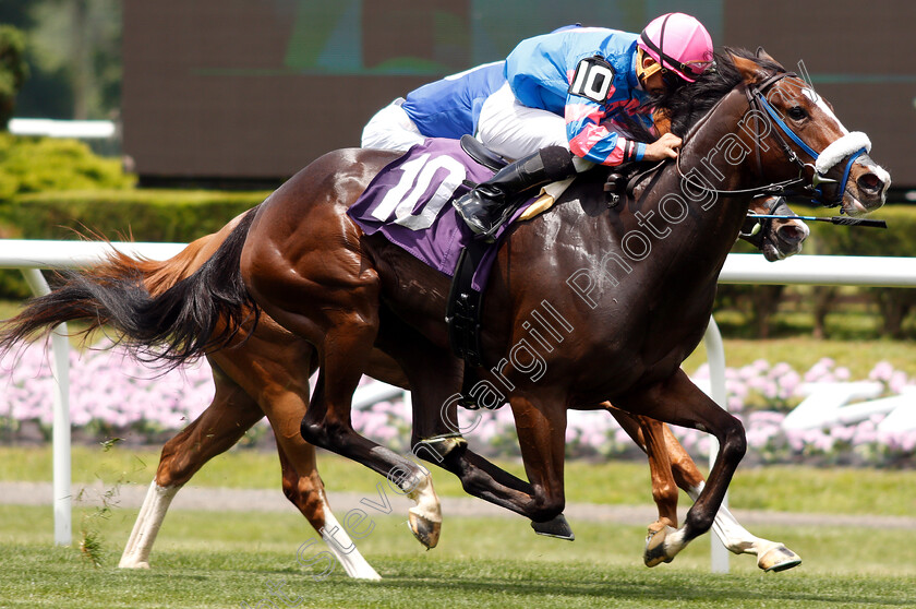 Noble-Jewel-0005 
 NOBLE JEWEL (Joel Rosario) wins Maiden
Belmont Park USA 7 Jun 2019 - Pic Steven Cargill / Racingfotos.com