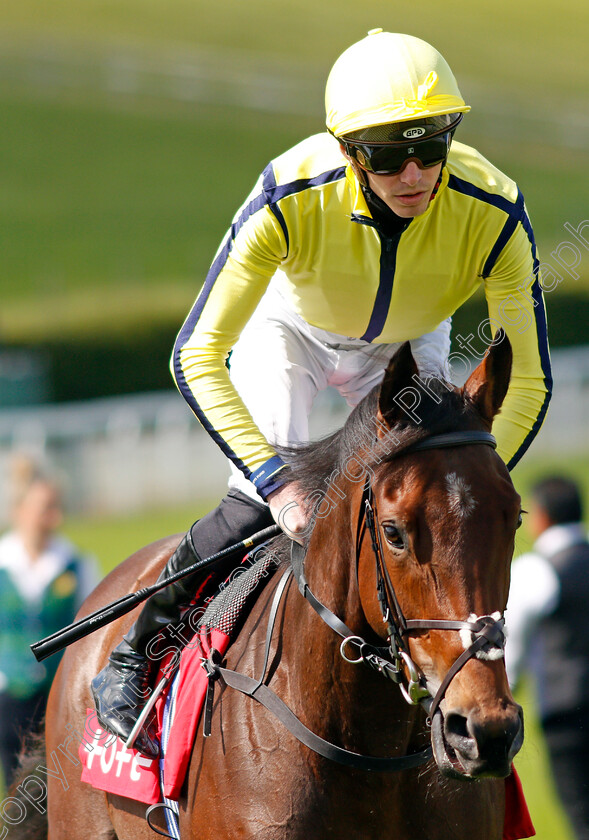 Daneh-0001 
 DANEH (James Doyle)
Goodwood 28 Aug 2021 - Pic Steven Cargill / Racingfotos.com