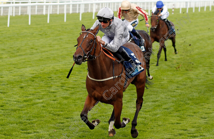 Illustrating-0003 
 ILLUSTRATING (Daniel Tudhope) wins The British Stallion Studs Alice Keppel EBF Fillies Stakes
Goodwood 28 Jul 2021 - Pic Steven Cargill / Racingfotos.com