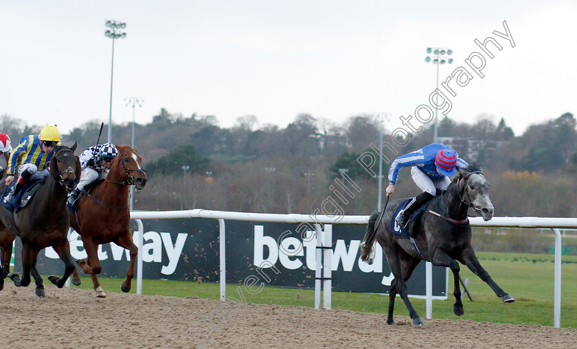 Delicious-0003 
 DELICIOUS (Callum Shepherd) wins The Ladbrokes Bet £5 Get £20 Nursery
Wolverhampton 28 Nov 2018 - Pic Steven Cargill / Racingfotos.com