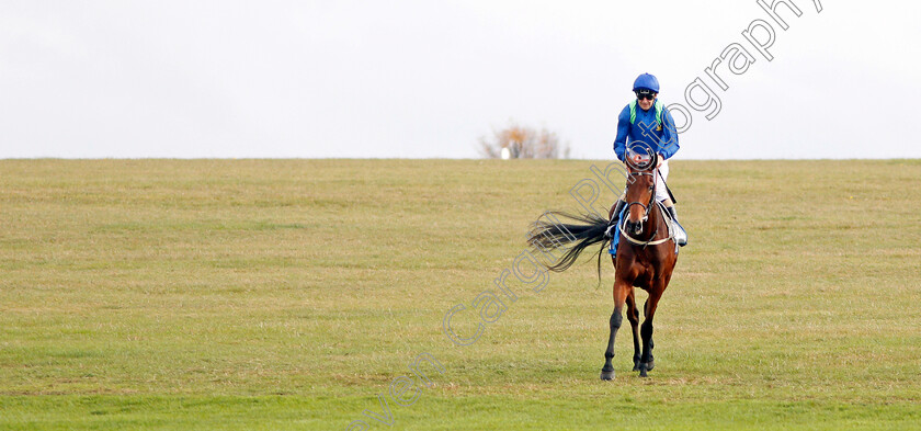 Rose-Of-Kildare-0006 
 ROSE OF KILDARE (Joe Fanning) after The Godolphin Lifetime Care Oh So Sharp Stakes
Newmarket 11 Oct 2019 - Pic Steven Cargill / Racingfotos.com