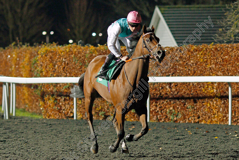 Choreograph-0001 
 CHOREOGRAPH (Jason Watson)
Kempton 27 Nov 2019 - Pic Steven Cargill / Racingfotos.com