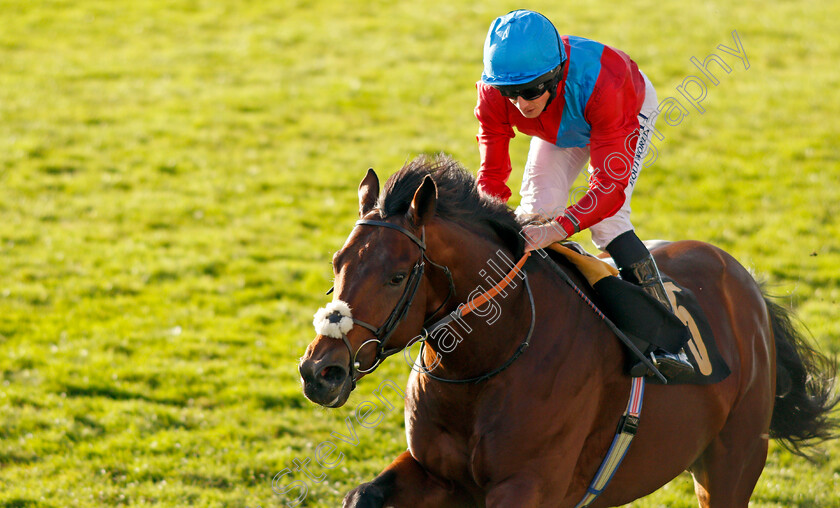 Bay-Bridge-0009 
 BAY BRIDGE (Ryan Moore) wins The 888sport James Seymour Stakes
Newmarket 30 Oct 2021 - Pic Steven Cargill / Racingfotos.com