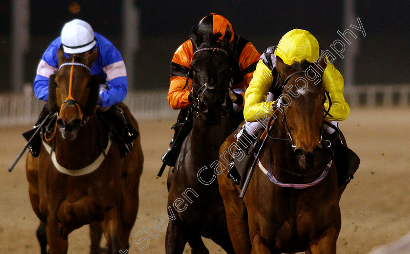 Always-A-Drama-0002 
 ALWAYS A DRAMA (Cieren Fallon) wins The Bet toteexacta At totesport.com Fillies Handicap
Chelmsford 21 Feb 2019 - Pic Steven Cargill / Racingfotos.com