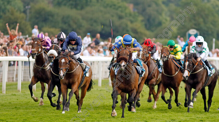 The-Green-Man-0006 
 THE GREEN MAN (centre, Kaiya Fraser) beats GOOD EARTH (left) in The Clean Up With PPS Handicap
York 17 Jun 2023 - Pic Steven Cargill / Racingfotos.com