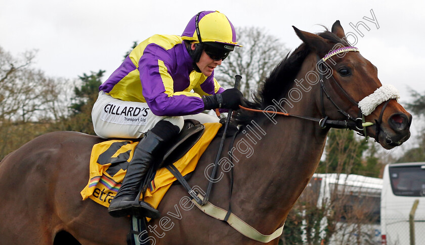 Le-Patron-0006 
 LE PATRON (David Noonan) wins The Betfair Henry VIII Novices Chase
Sandown 9 Dec 2023 - Pic Steven Cargill / Racingfotos.com