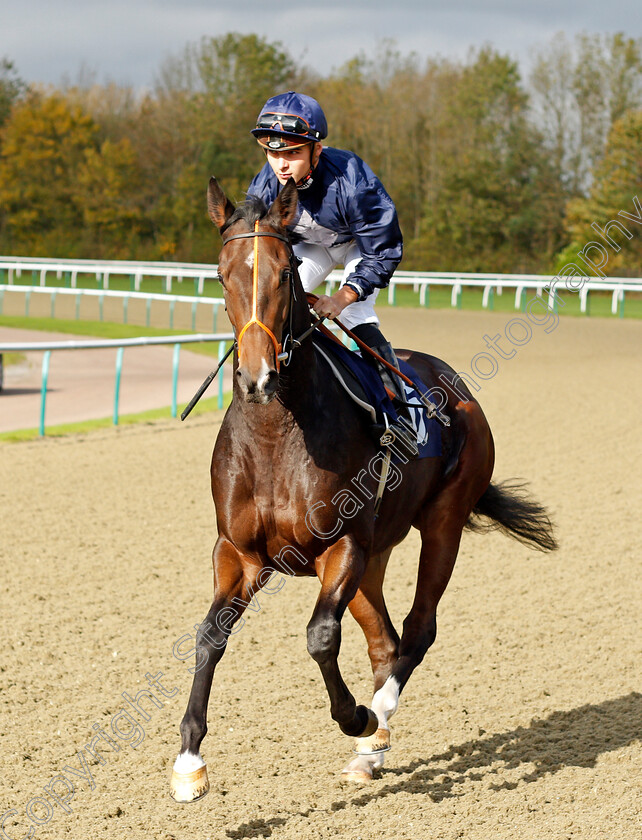 Cuban-Cigar 
 CUBAN CIGAR (Thore Hammer Hansen)
Lingfield 28 Oct 2021 - Pic Steven Cargill / Raingfotos.com