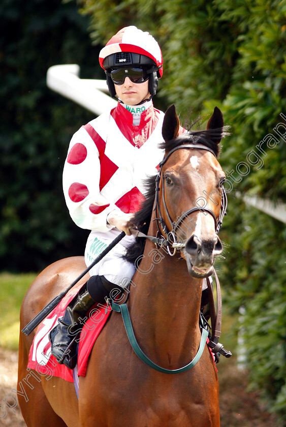 Liberty-Beach-0001 
 LIBERTY BEACH (Jason Hart) before The Chasemore Farm Dragon Stakes
Sandown 5 Jul 2019 - Pic Steven Cargill / Racingfotos.com