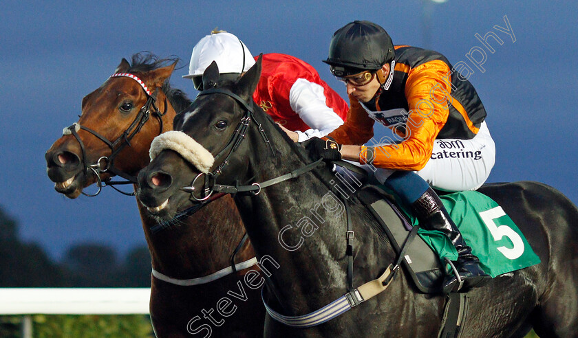 Kasbaan-0007 
 KASBAAN (Alistair Rawlinson) beats AL JELLABY (left) in The Matchbook London Mile Series Qualifier Handicap
Kempton 3 Sep 2019 - Pic Steven Cargill / Racingfotos.com