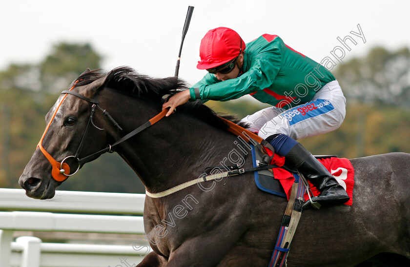 Mister-Blue-Sky-0002 
 MISTER BLUE SKY (Mitch Godwin) wins The Bishopsgate Pay Handicap Sandown 1 Sep 2017 - Pic Steven Cargill / Racingfotos.com