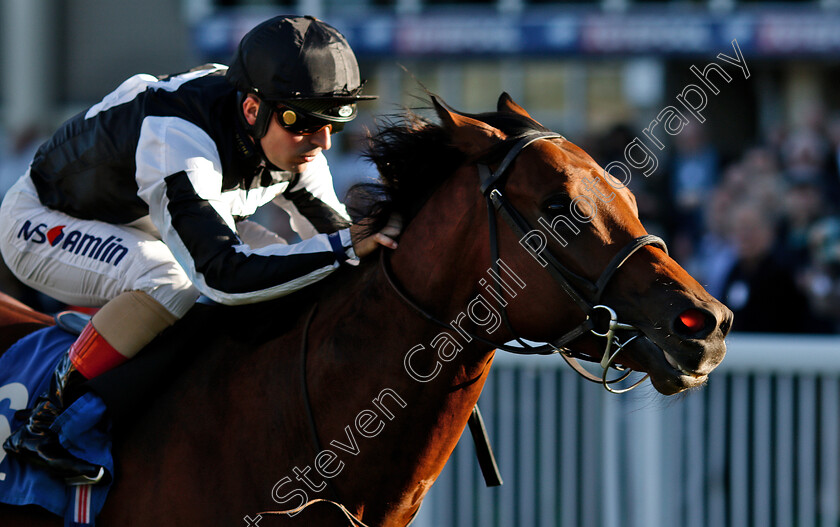 Helvetian-0006 
 HELVETIAN (Andrea Atzeni) wins The Weatherbys General Stud Book Handicap
Salisbury 3 Oct 2018 - Pic Steven Cargill / Racingfotos.com