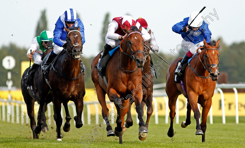 Glorious-Journey-0007 
 GLORIOUS JOURNEY (centre, James Doyle) beats FINAL SONG (right) and JASH (left) in The Dubai Duty Free Cup
Newbury 18 Sep 2020 - Pic Steven Cargill / Racingfotos.com