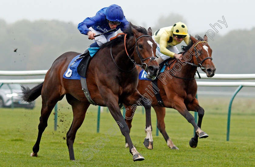 Hadith-0003 
 HADITH (left, William Buick) beats SHEIKHA REIKA (right) in The Kier Construction Central EBF Maiden Fillies Stakes Nottingham 18 Oct 2017 - Pic Steven Cargill / Racingfotos.com