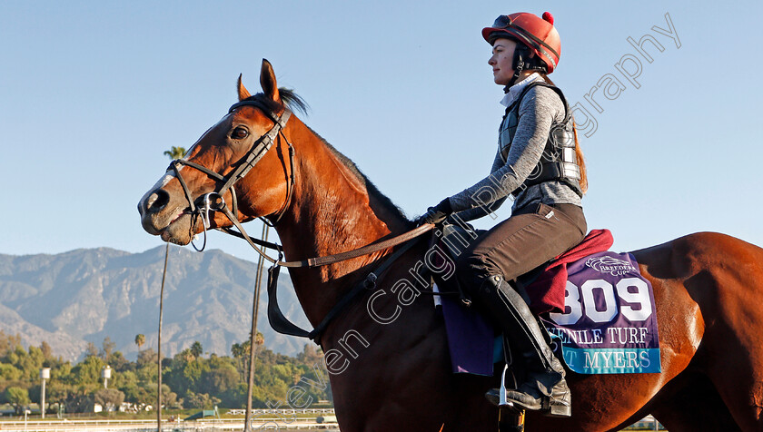 Fort-Myers-0001 
 FORT MYERS training for The Breeders' Cup Juvenile Turf
Santa Anita USA 31 Oct 2019 - Pic Steven Cargill / Racingfotos.com