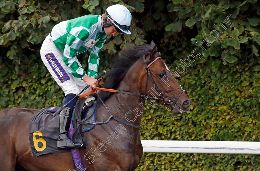 Northern-Blaze-0002 
 NORTHERN BLAZE (Daniel Muscutt)
Kempton 28 Aug 2024 - Pic Steven Cargill / Racingfotos.com