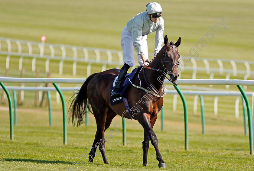 Cardsharp-0001 
 CARDSHARP (James Doyle) Newmarket 5 May 2018 - Pic Steven Cargill / Racingfotos.com