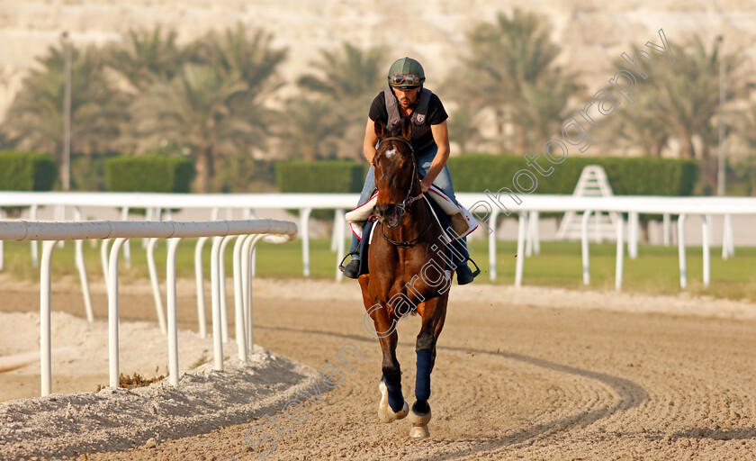 Magny-Cours-0001 
 MAGNY COURS exercising in preparation for Friday's Bahrain International Trophy
Sakhir Racecourse, Bahrain 16 Nov 2021 - Pic Steven Cargill / Racingfotos.com