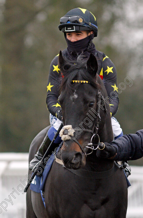 Wyvern-0001 
 WYVERN (Marco Ghiani) winner of The Mansionbet Beaten By A Head Median Auction Maiden Stakes
Lingfield 25 Jan 2022 - Pic Steven Cargill / Racingfotos.com