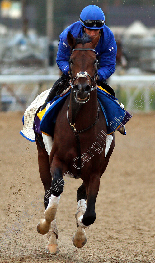 Thunder-Snow-0001 
 THUNDER SNOW exercising ahead of The Breeders' Cup Classic
Churchill Downs USA 30 Oct 2018 - Pic Steven Cargill / Racingfotos.com