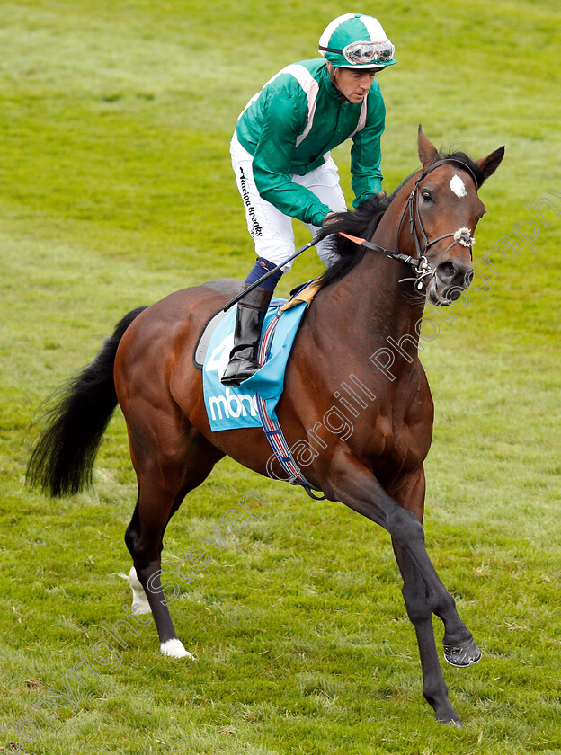 Kaloor-0001 
 KALOOR (Jim Crowley)
Chester 8 May 2019 - Pic Steven Cargill / Racingfotos.com