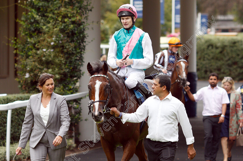 First-Eleven-0009 
 FIRST ELEVEN (Robert Havlin) after The Lavazza Handicap
Ascot 8 Sep 2018 - Pic Steven Cargill / Racingfotos.com