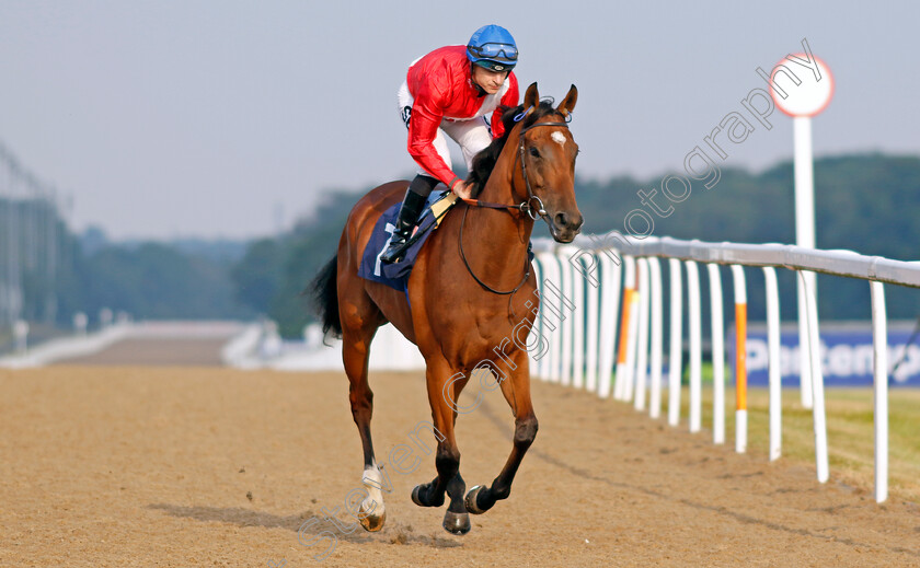 Potapova-0002 
 POTAPOVA (Richard Kingscote)
Newcastle 24 Jun 2022 - Pic Steven Cargill / Racingfotos.com