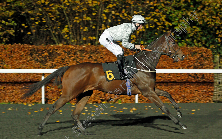 Magic-Twist-0001 
 MAGIC TWIST (Andrew Breslin)
Kempton 27 Nov 2019 - Pic Steven Cargill / Racingfotos.com