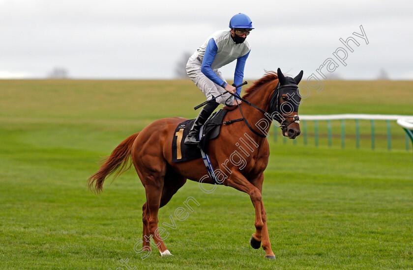 Chance-0001 
 CHANCE (James Doyle) winner of The Download The Mansionbet App Handicap
Newmarket 30 Oct 2020 - Pic Steven Cargill / Racingfotos.com