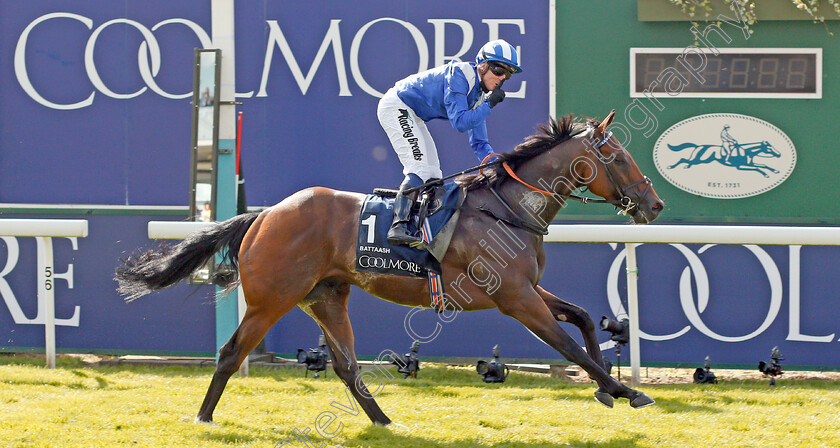 Battaash-0008 
 BATTAASH (Jim Crowley) wins The Coolmore Nunthorpe Stakes
York 23 Aug 2019 - Pic Steven Cargill / Racingfotos.com