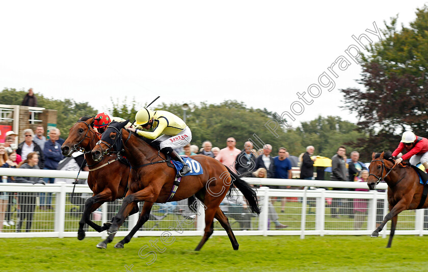 Unique-Cut-0002 
 UNIQUE CUT (Robert Havlin) beats WONDER ELMOSSMAN (farside) in The Sorvio Insurance Brokers Novice Stakes Div1
Salisbury 12 Aug 2021 - Pic Steven Cargill / Racingfotos.com