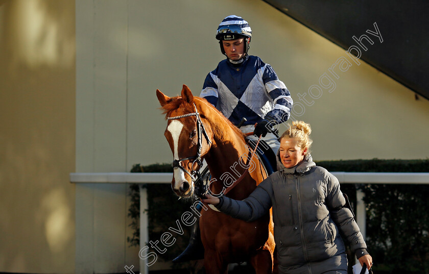 Celtic-Dino-0007 
 CELTIC DINO (Dylan Johnston) winner of The Troy Asset Management Introductory Hurdle
Ascot 22 Nov 2024 - Pic Steven Cargill / Racingfotos.com