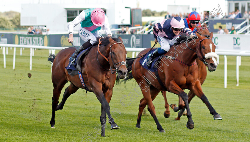 Equilateral-0002 
 EQUILATERAL (left, Ryan Moore) beats QUEENS GIFT (right) in The DC Training And Development Services Scarbrough Stakes
Doncaster 11 Sep 2019 - Pic Steven Cargill / Racingfotos.com