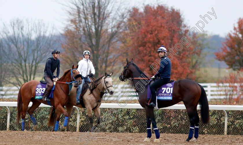 Blazing-Sevens-and-Gold-Phoenix-0001 
 BLAZING SEVENS (right) training for the Breeders' Cup Juvenile whilst GOLD PHOENIX (left) prepares for the Breeders' Cup Turf
Keeneland, USA 31 Oct 2022 - Pic Steven Cargill / Racingfotos.com